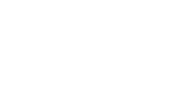 골드넷 logo